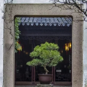 中式庭院,值得收藏